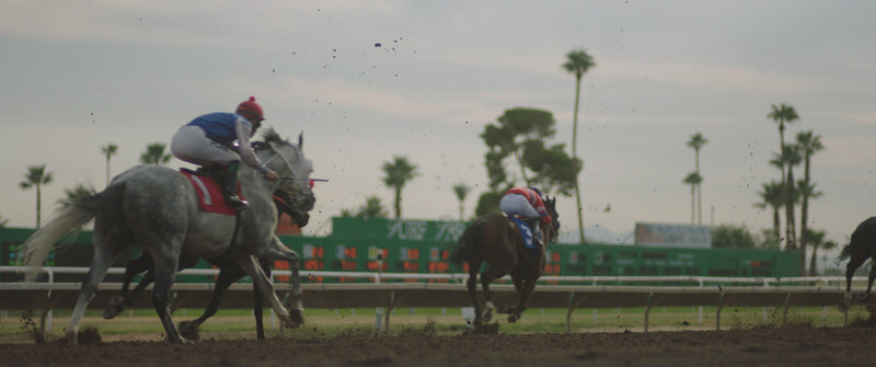 Jockey on gray thoroughbred racing horse during competition at track with palm trees lining the course.