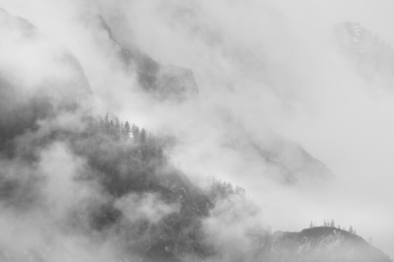 Forested mountainside partially obscured by heavy fog and mist, with evergreen trees visible through the haze.