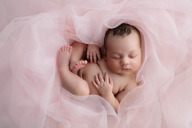 Sleeping newborn wrapped in layers of soft pink tulle fabric.