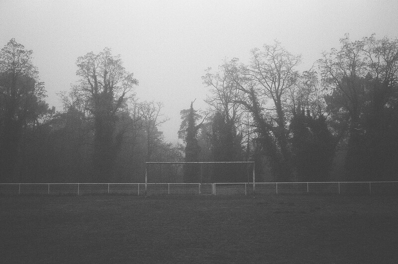 Molehills littering our village football pitch.