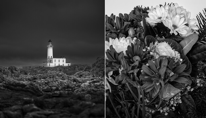 Diptych showing a lighthouse on rocky terrain under dark skies and a close-up floral arrangement in black and white.