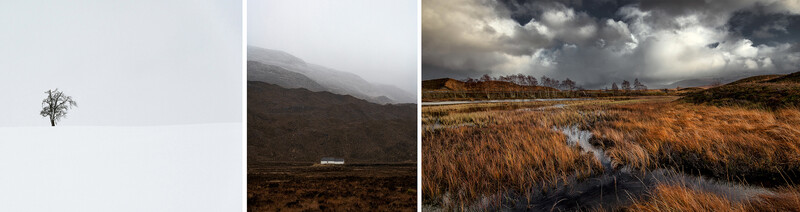 Triptych of minimalist landscape photographs showing solitary trees and moorland under overcast skies.
