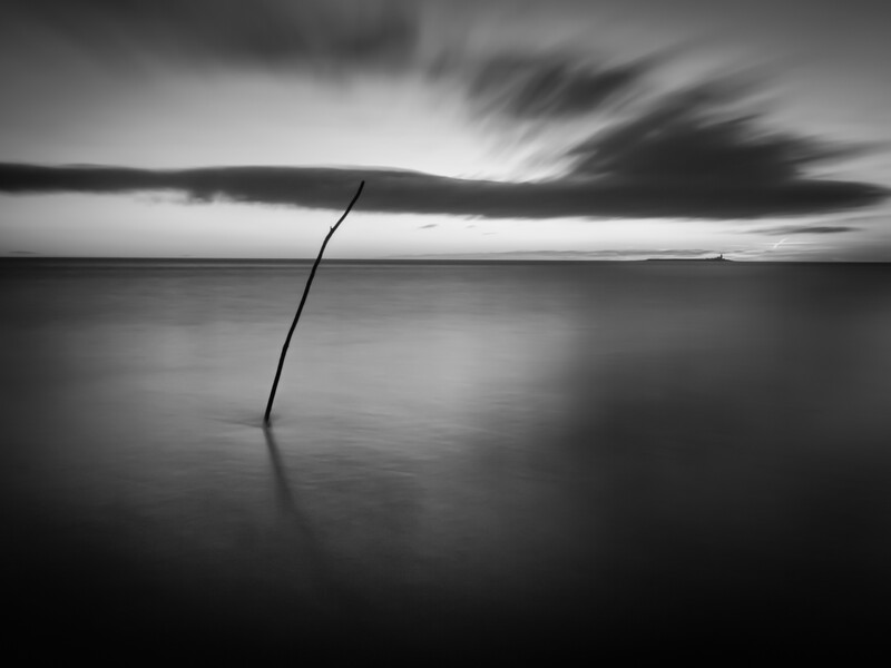 Solitary curved stick emerging from still water against a dramatic cloudy sky.