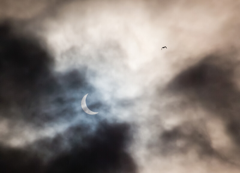 Crescent moon partially obscured by dramatic storm clouds with a bird flying in the distant sky.