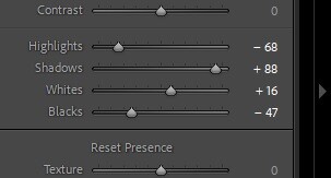 Screenshot of tone curve adjustment sliders showing Highlights, Shadows, Whites, and Blacks controls.