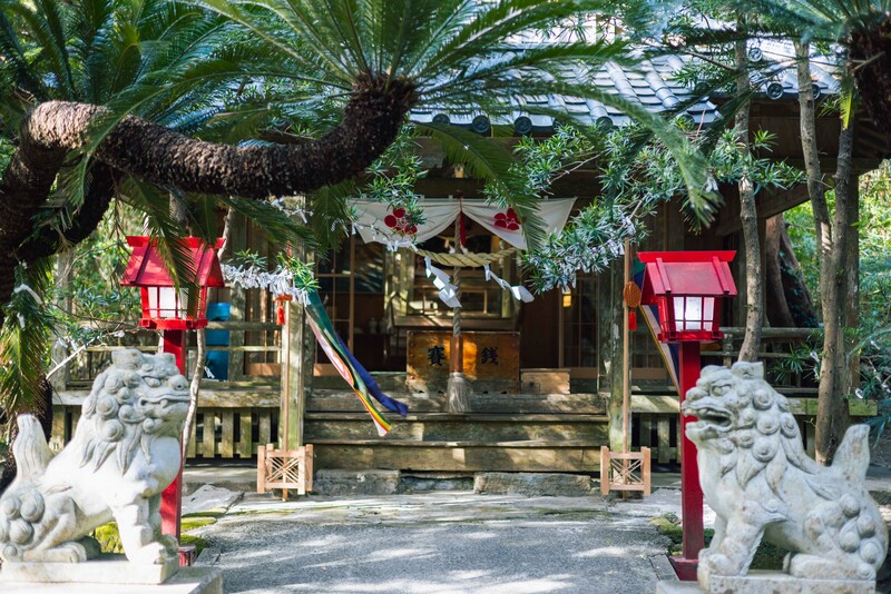 Japanese shrine entrance framed by palm trees with red lanterns and white stone lion guardians.