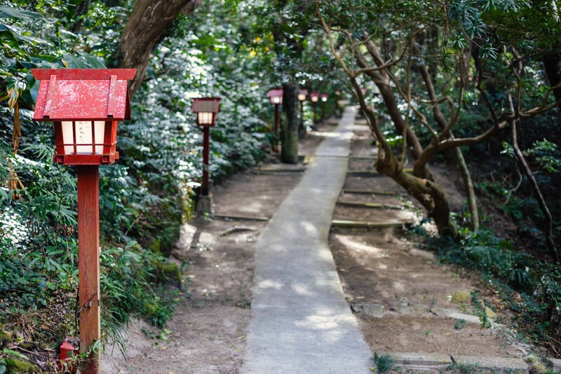 Red lantern-style lamp mounted on a wooden post alongside a shaded garden pathway.