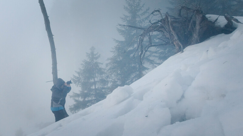 Hiker ascending snowy slope while holding a bare tree branch in misty, forested mountain terrain.