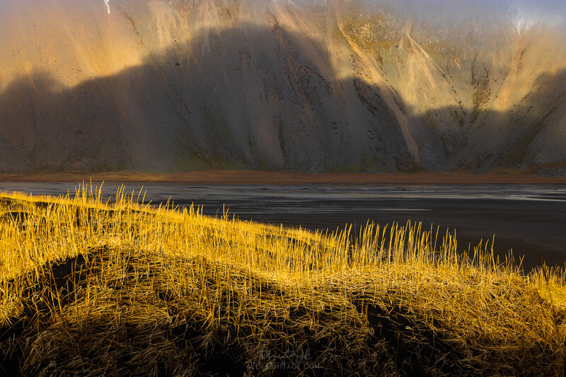 Golden marsh grass in foreground with dark water and dramatic sunlit mountain peaks shrouded in mist beyond.