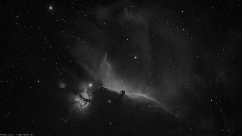 Monochrome astrophotography of a nebula with dark dust clouds silhouetted against glowing gas and scattered stars.