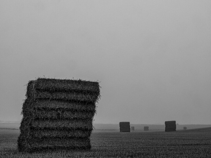 Hay bale in foreground of vast, empty agricultural field under overcast sky.