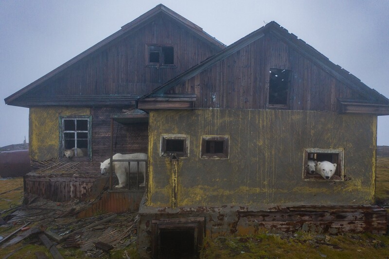 Abandoned two-story house with weathered wood siding and moss-covered walls under overcast sky.