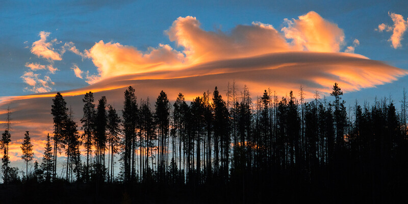 Silhouetted conifer forest beneath a massive lenticular cloud formation at sunset.