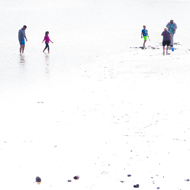 People scattered across a wide sandy beach, photographed from an elevated vantage point showing scale and spacing.