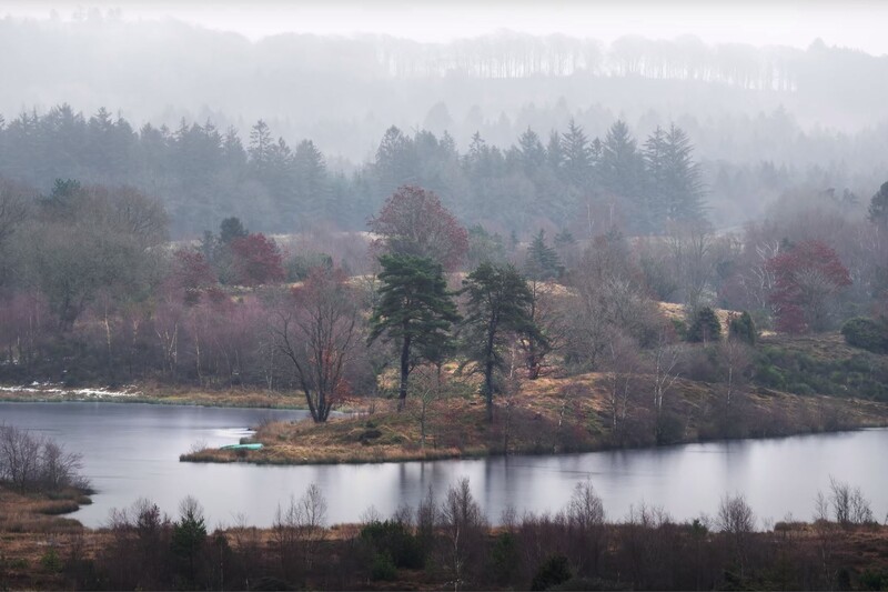 Misty landscape with a small forested peninsula jutting into a calm lake, surrounded by evergreen and deciduous trees in winter.