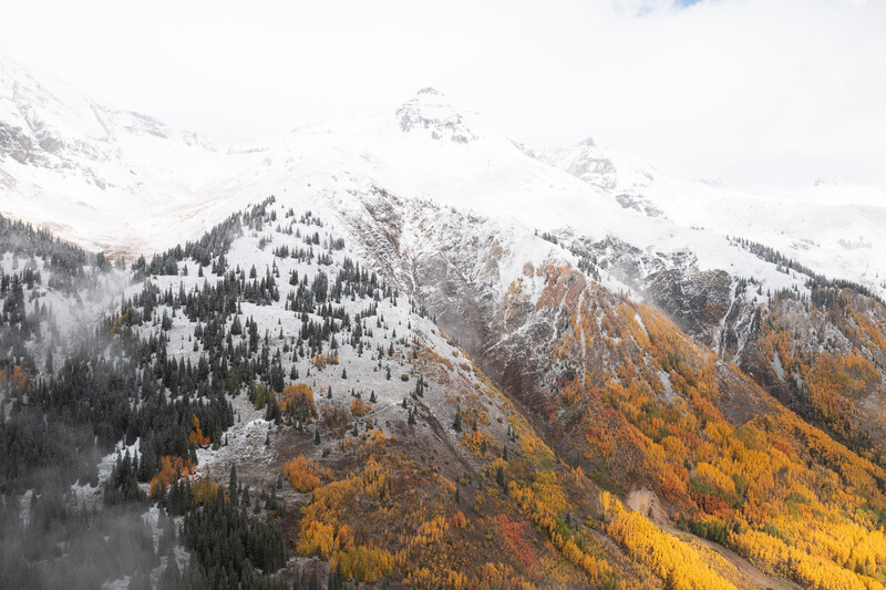 Snow-capped mountains with golden larch forests and evergreen trees in autumn.