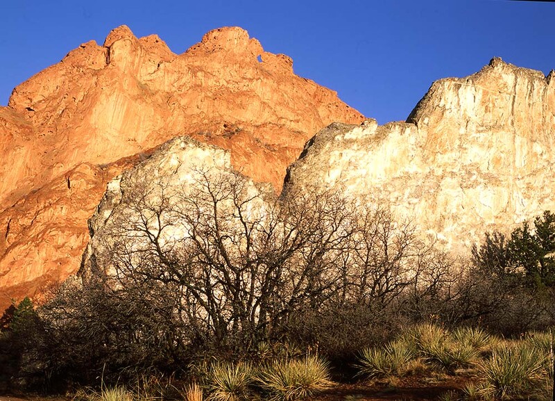 Warm-lit desert rock formations with sparse vegetation against clear blue sky.