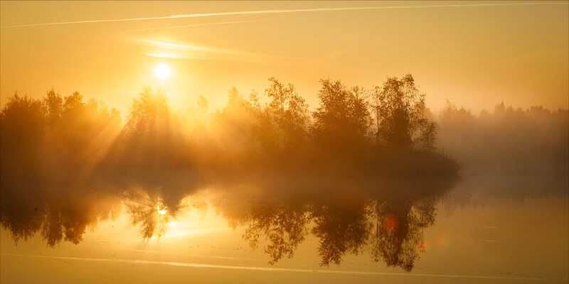 Misty river landscape at sunrise with golden sunlight reflecting on calm water and silhouetted trees.