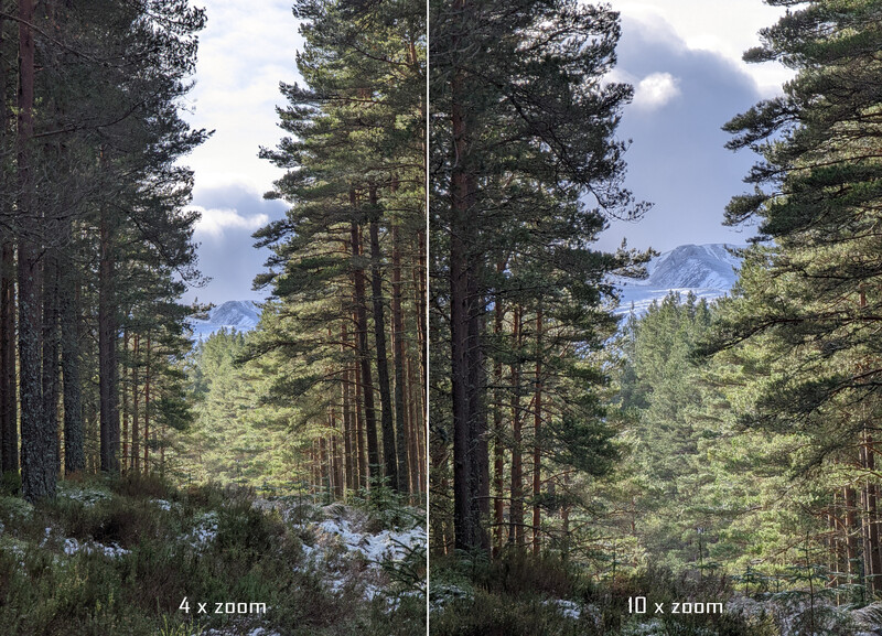 Side-by-side comparison of forest scene at 4x and 10x zoom magnification.