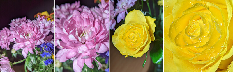 Four macro photographs of pink and yellow flowers with water droplets, arranged in a grid composition.