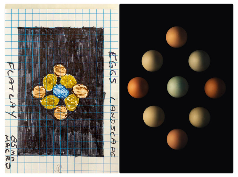 A comparison image with a sketch of a variety of different colored free range eggs with the final image beside it.