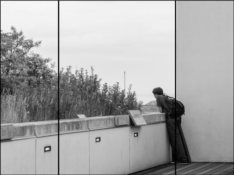 Person leaning over a concrete railing, gazing at a landscape with trees and reeds reflected in mirrored glass panels.