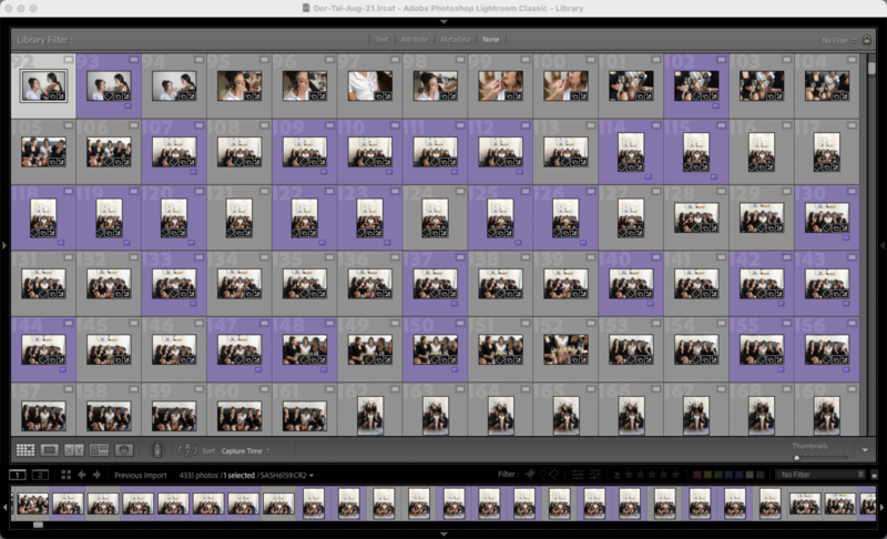 Screenshot of photo management software showing a grid of hundreds of thumbnail images with purple and gray selection highlighting.