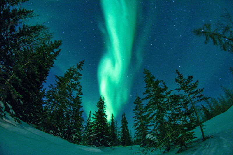 Aurora borealis streaking across night sky above snow-covered landscape with evergreen trees.