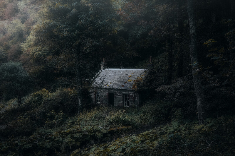 Stone cottage nestled deep within a dense forest, surrounded by towering evergreen trees and undergrowth.