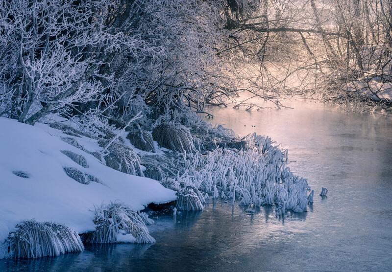 Frost-covered vegetation along a partially frozen river at sunrise.