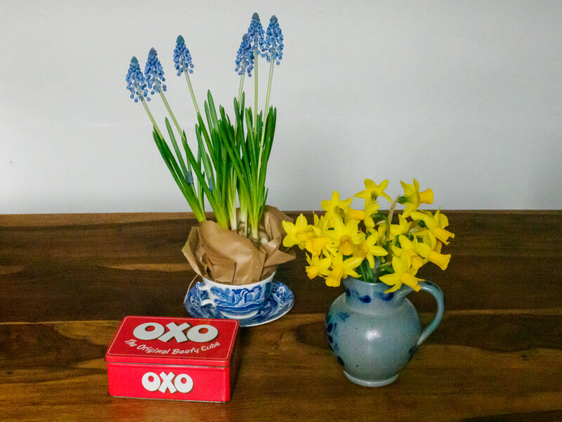Spring floral still life with blue muscari, yellow daffodils, and a red box on wooden surface.