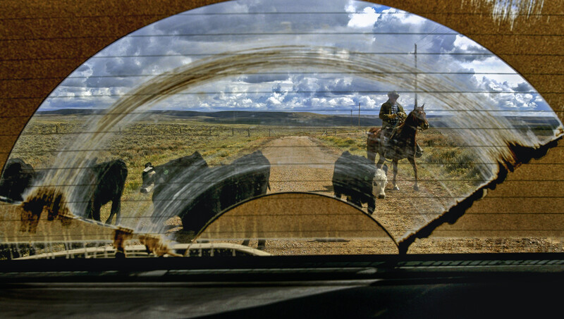 Composite image showing horses and riders on a ranch road framed within a horseshoe shape.