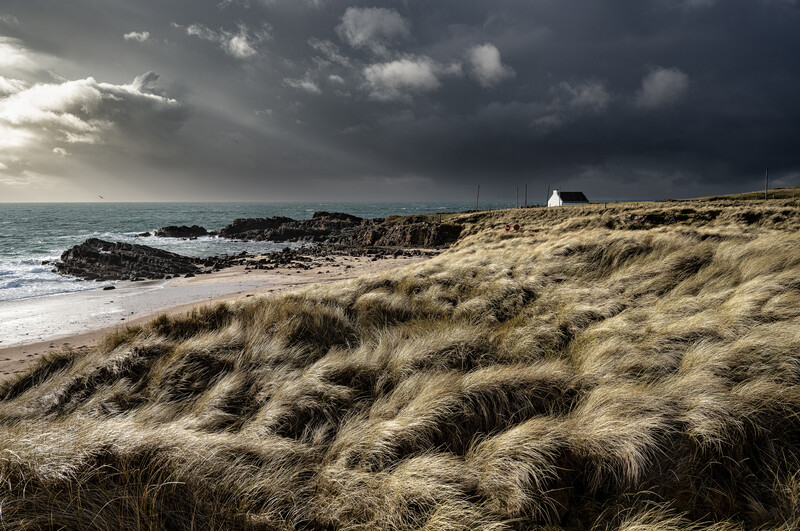 Windswept dune grasses in foreground with rocky coastline, beach, and dramatic storm clouds over the sea.