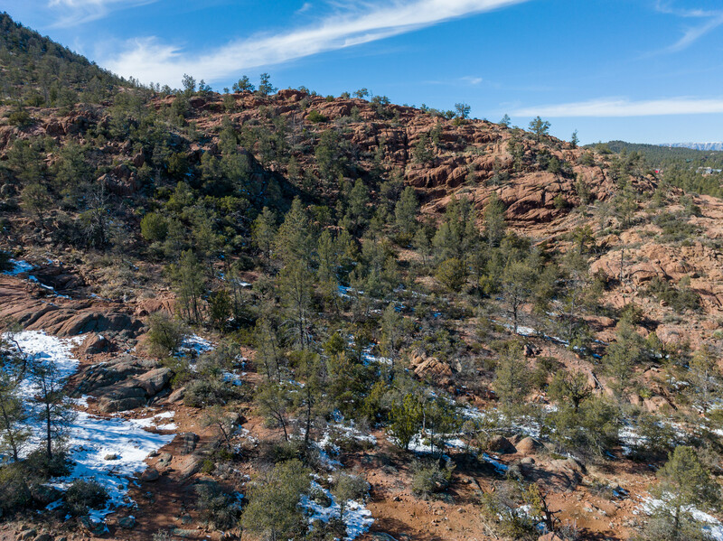Rocky hillside with scattered evergreen trees and patches of snow in morning light.