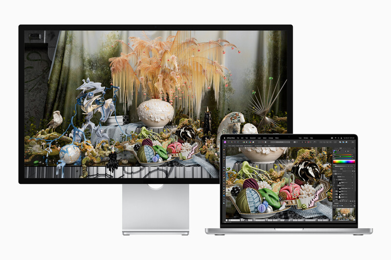Desktop and laptop displays showing color-graded still life composition with ornamental objects and foliage.