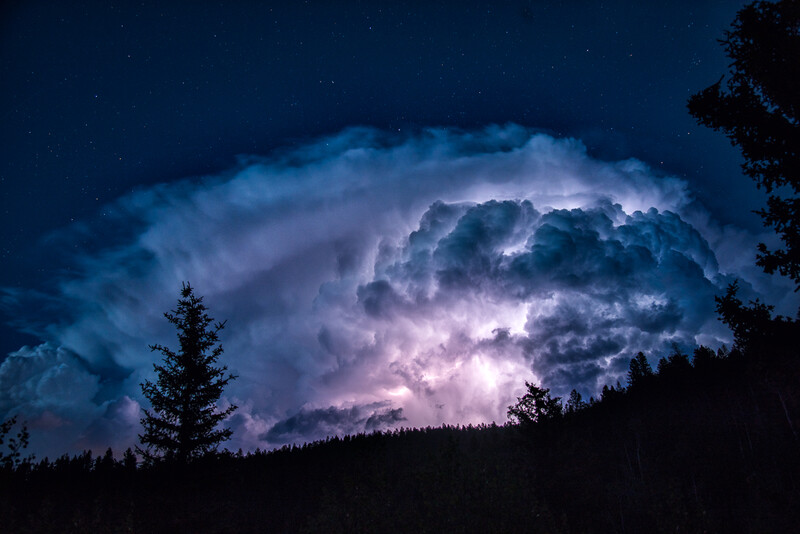Thunderstorm clouds illuminated by lightning at night, with silhouetted evergreen forest in foreground.