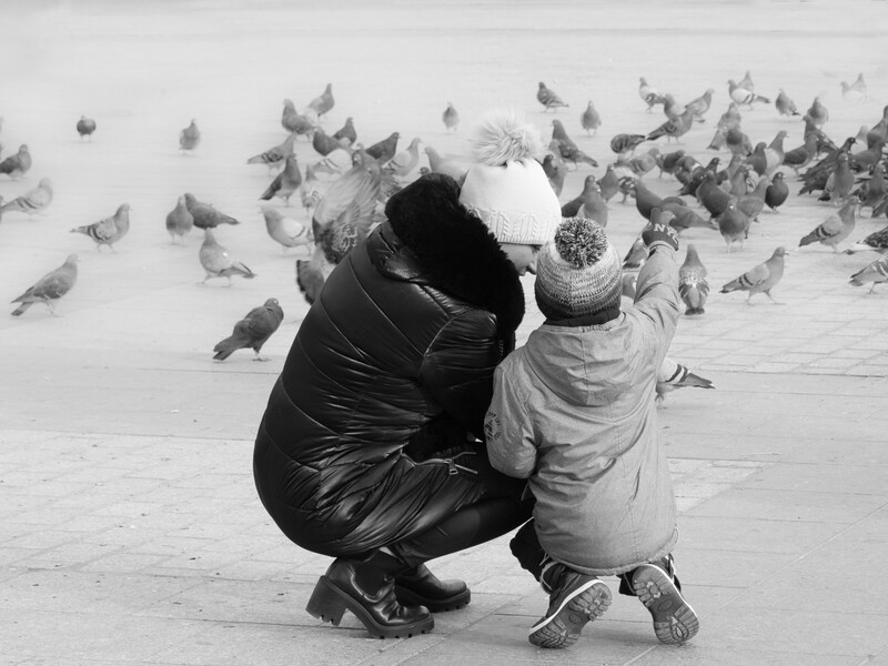 Adult crouching beside small child feeding pigeons in an urban plaza.