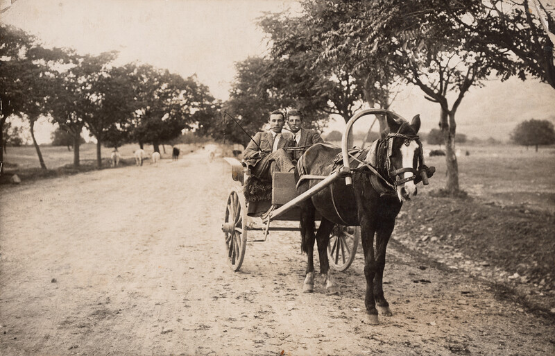 Horse-drawn cart with passengers traveling down a tree-lined dirt road in soft, overcast light.
