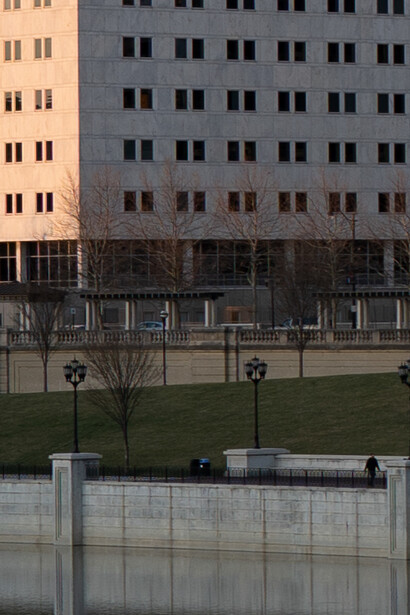 Urban architectural scene with modern residential buildings and bare tree in foreground at golden hour.