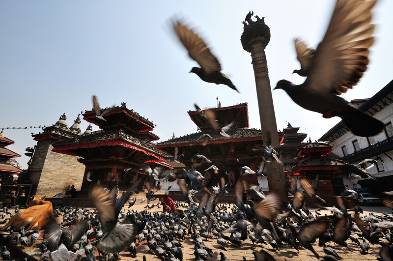 Pigeons in flight above a crowded plaza with ornate temple architecture and a central pole in background.