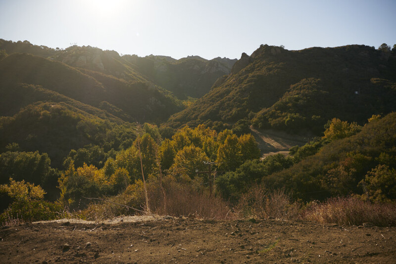 Golden-hour light illuminates forested mountains with a winding road cutting through the valley below.
