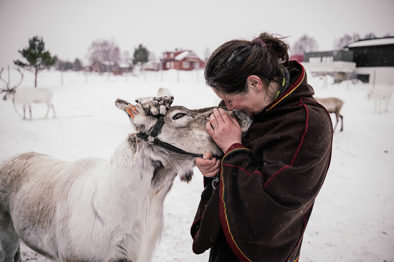 Woman in dark jacket feeding and petting a reindeer in snowy landscape.