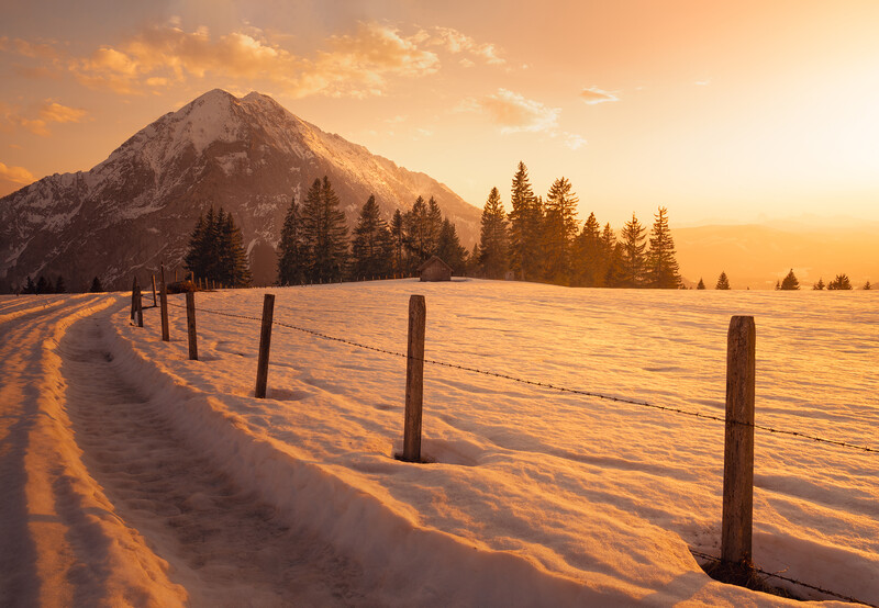 Snow-covered field at sunrise with wooden fence posts and evergreen trees beneath a mountain peak.
