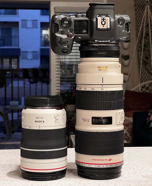 Collection of Canon lenses and camera bodies arranged on a white surface against a dark interior backdrop.