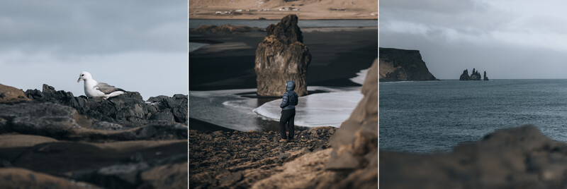 Triptych of Icelandic coastal landscapes featuring a seabird, a solitary figure beneath a basalt formation, and distant sea stacks.