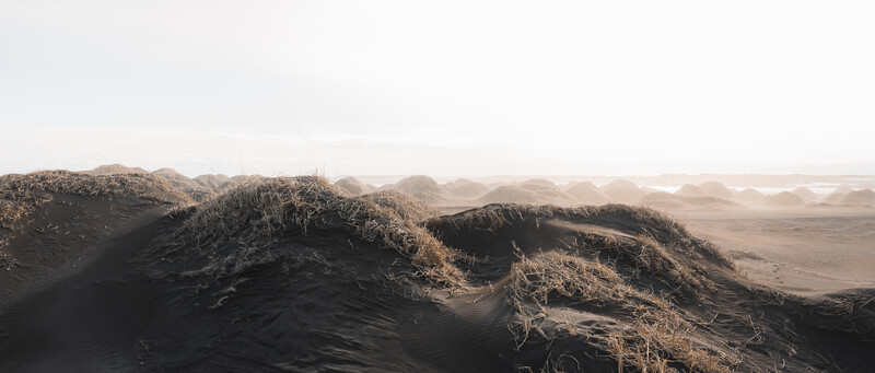 Layered sand dunes with sparse vegetation under warm, hazy light creating atmospheric depth.