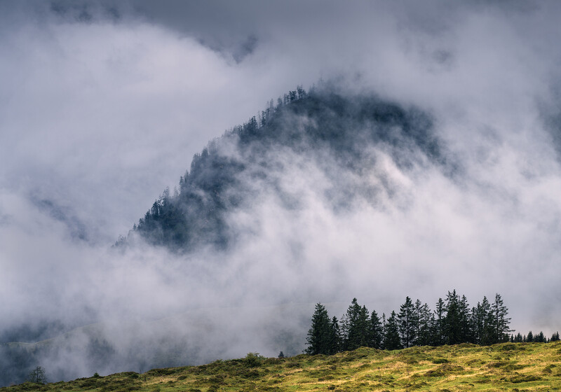 Forested mountain slope partially obscured by rolling clouds and mist.