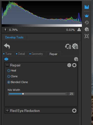 Screenshot of Develop Tools panel in Adobe Lightroom showing Repair tool options with Heal, Clone, and Blended Clone selections.
