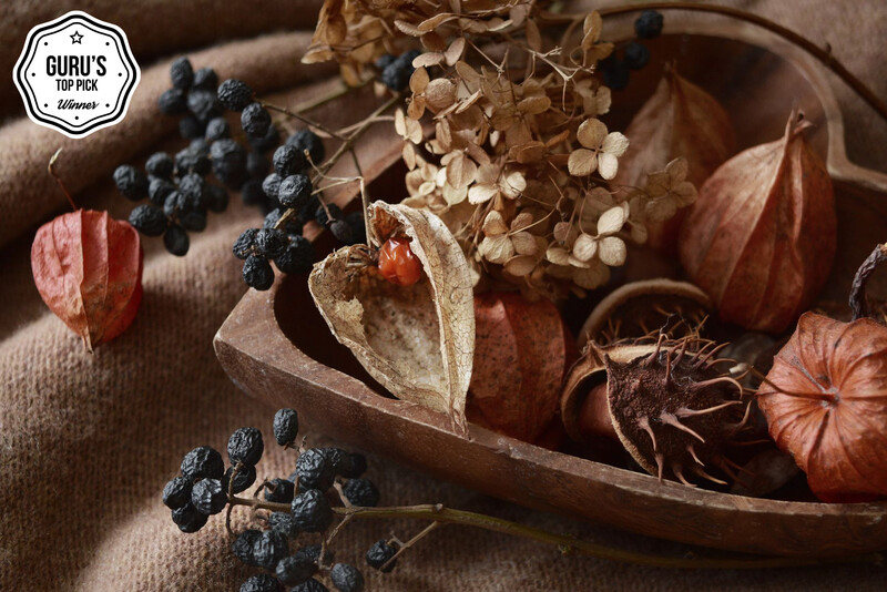 Dried berries, seed pods, and physalis arranged in a wooden bowl on neutral fabric.