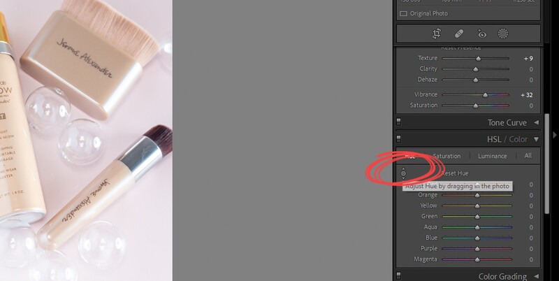 Lightroom Tips and Tricks by Michelle VanTine Photography